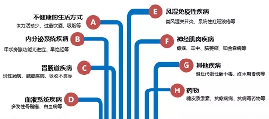 640.webp (1).jpg
